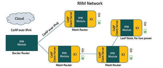 r6-Struktura RIIM sítě